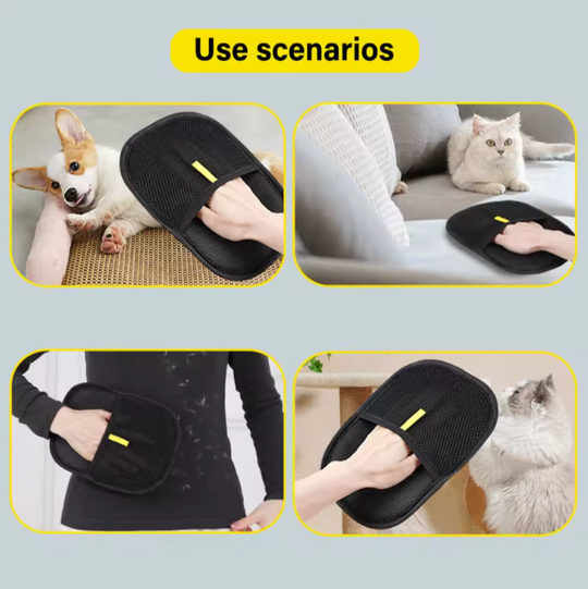 🐾 Hauszy - #1 Best-Selling Pet Cleaning Glove